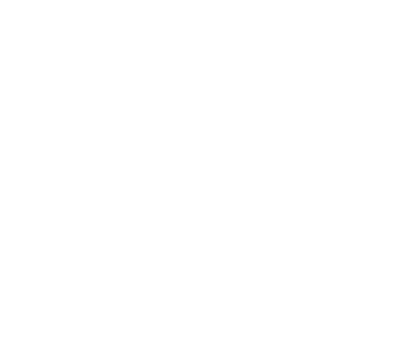 Net Patrimoine Logo